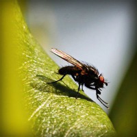 /album/mgahoslaudrah/photolia-a04-jpg/