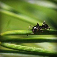 /album/mgahoslaudrah/photolia-a05-jpg/