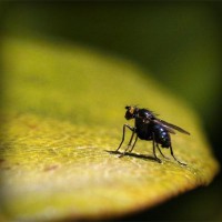 /album/mgahoslaudrah/photolia-a07-jpg/