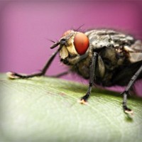 /album/mgahoslaudrah/photolia-a08-jpg/